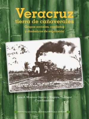 cover image of Veracruz, tierra de cañaverales. Grupos sociales, conflictos y dinámicas de expansión